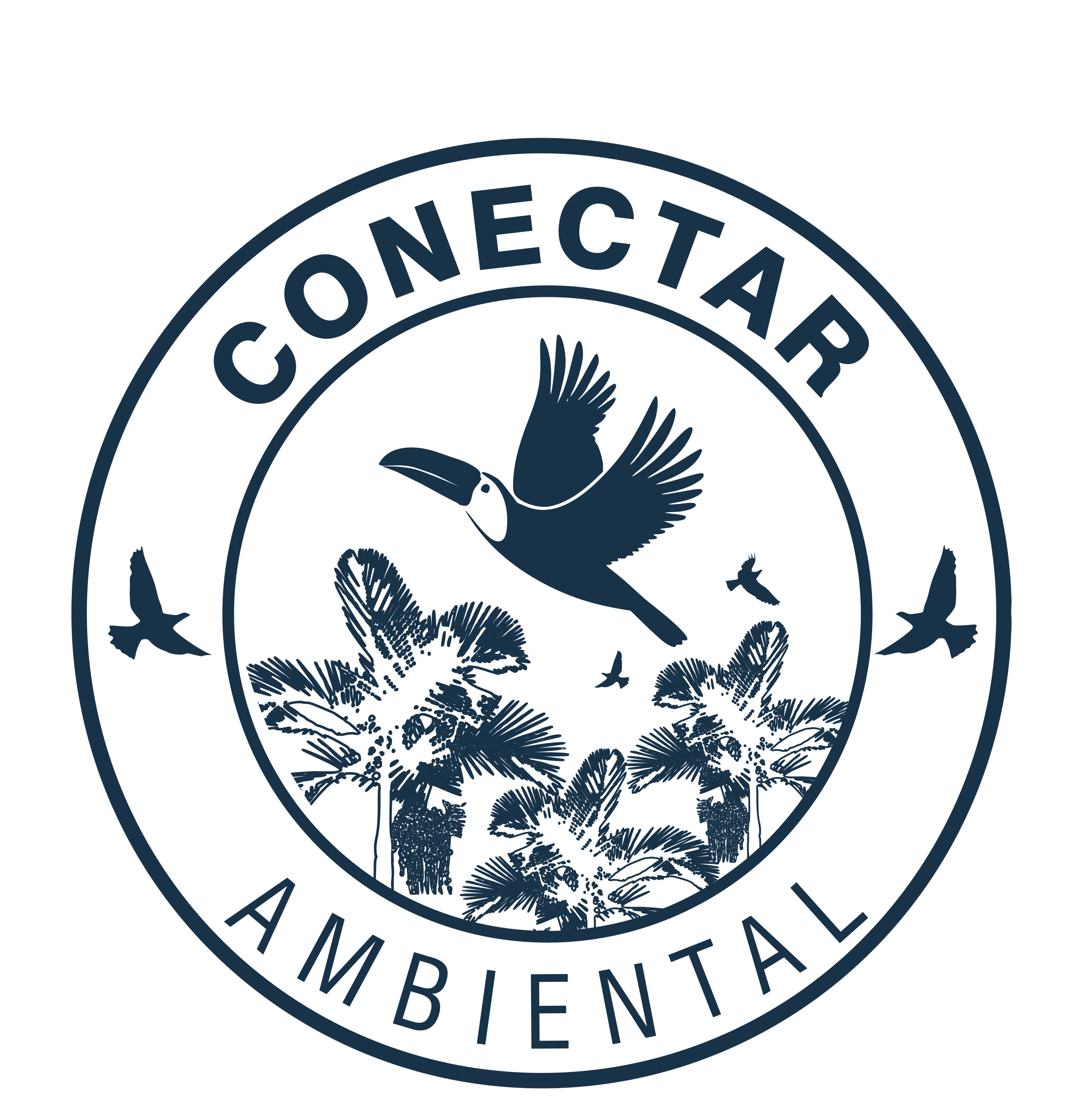 Conectar Ambiental